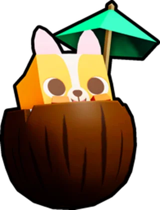 Coconut Corgi artwork
