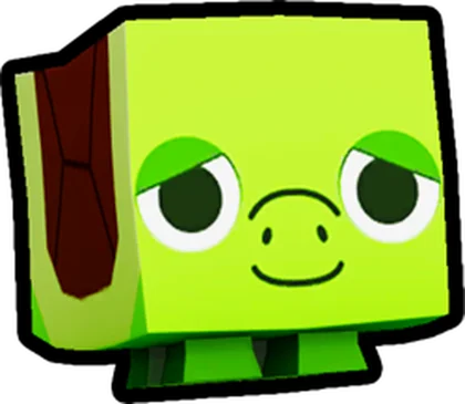 Turtle artwork